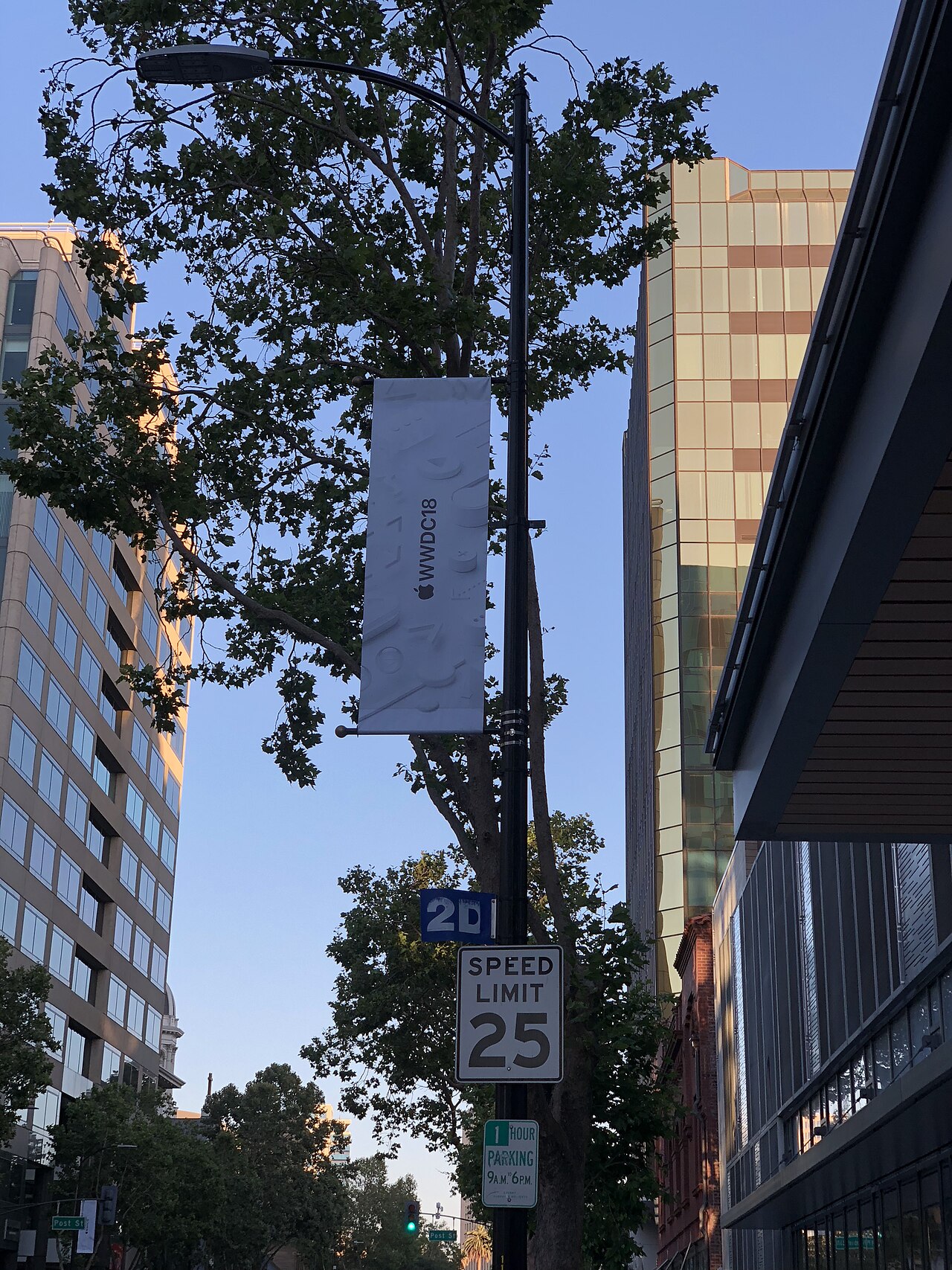 Worldwide Developers Conference 2018 — flag